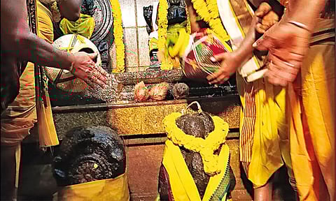 சிறப்பு பூஜை நடந்தபோது எடுத்த படம்.