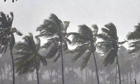 கோப்புபடம்.