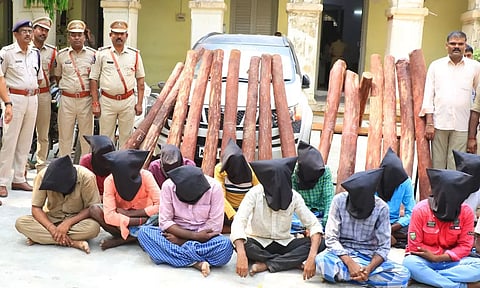 கைதான செம்மரக்கடத்தல் கும்பல்