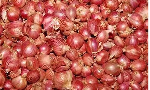 சின்ன வெங்காயம் ஜூன் வரை கிலோ ரூ.32க்கு விற்பனையாகும்-வேளாண் பல்கலைக்கழகம் கணிப்பு