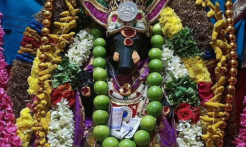 கடன் பிரச்சனை தீர்க்கும் வராஹி அம்மன்: விரதம் இருந்து எப்போது, எப்படி வழிபட வேண்டும்?