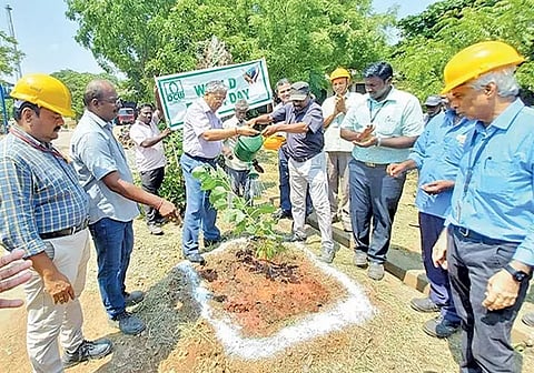 மரக்கன்று நடும் நிகழ்ச்சியை டி.சி.டபிள்யூ. நிறுவனத்தின் மூத்த செயல் உதவி தலைவர் சீனிவாசன் தொடங்கி வைத்த போது எடுத்த படம்.