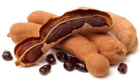 கோப்புபடம்.