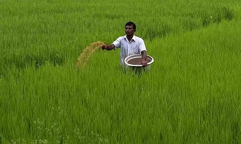 கோப்புபடம்.