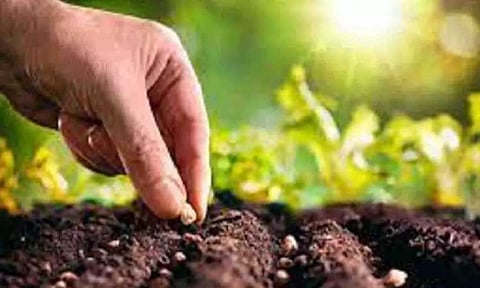 கோப்புபடம்.