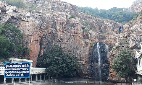 திருப்பதி கபிலேஸ்வரர் கோவிலில் பத்ர புஷ்ப யாகம் வருகிற 5-ந்தேதி நடக்கிறது