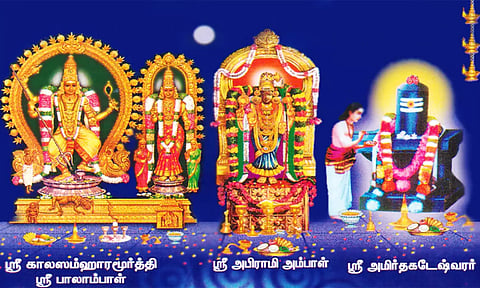 விழாக்கோலம் பூண்ட திருக்கடையூர் அமிர்தகடேஸ்வரா் கோவில்