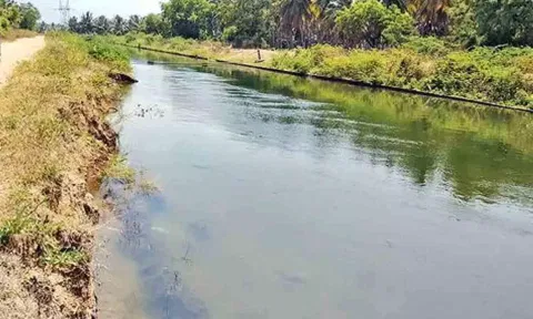 கோப்புபடம்