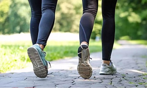 கோப்புபடம்.&nbsp;