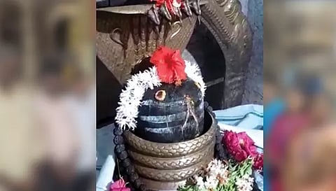 கோப்பணம்பாளையம் பரமேஸ்வரர் சிறப்பு அலங்காரத்தில் அருள்பாலித்த காட்சி.