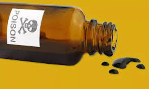 கோப்பு படம்.