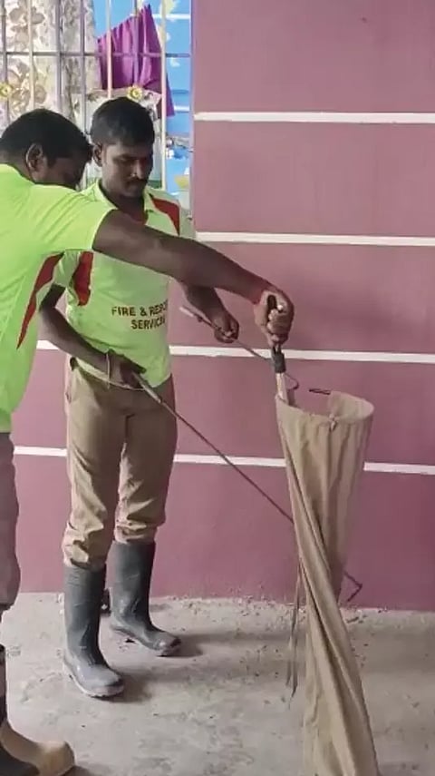 விழுப்புரம் அருகே   மோட்சகுளத்தில் படம் எடுத்து ஆடிய நல்ல பாம்பு:   போராடி பிடித்த தீயணைப்பு வீரர்கள்