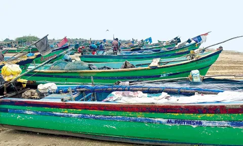 பைபர் படகுகள் கரையோரம் நிறுத்தி வைக்கப்பட்டுள்ளது.