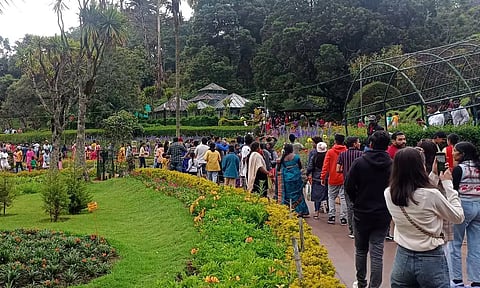 கொடைக்கானலில் சாரல் மழையில் நனைந்து சுற்றுலா பயணிகள் உற்சாகம்