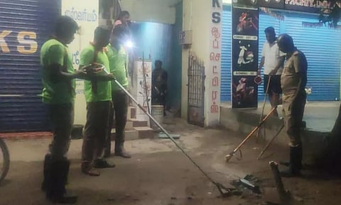 வீட்டில் புகுந்த சாரைப்பாம்பு