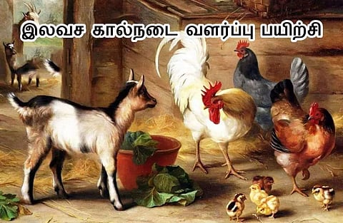தஞ்சையில் நாளை கால்நடை வளர்ப்பு இலவச பயிற்சி