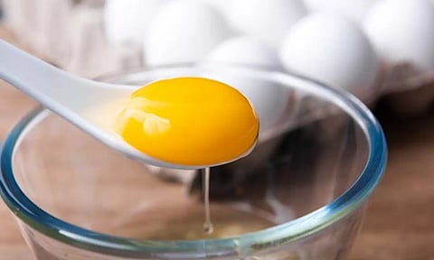 மஞ்சள் கரு ஆபத்தானதா..?