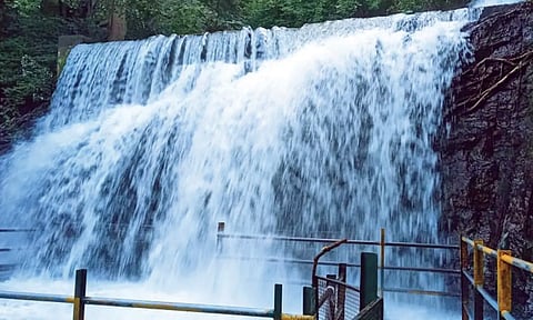 சுருளி அருவியில் வெள்ளப்பெருக்கு ஏற்பட்டுள்ளதை படத்தில் காணலாம்.