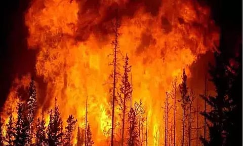 ரஷியாவில் சோகம் - காட்டுத்தீயில் சிக்கி 21 பேர் பலி