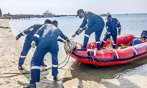 இலங்கைக்கு 450 கிலோ கடல் அட்டைகளை கடத்த முயற்சி- பறிமுதல் செய்து போலீசார் விசாரணை