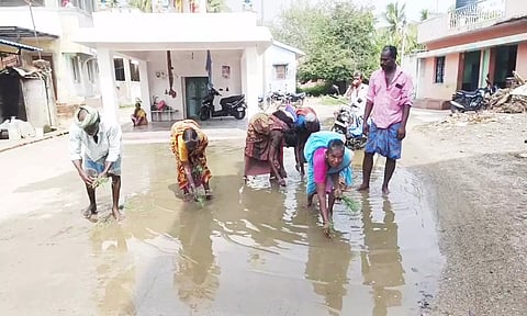 சாலையில் பெண்கள் நாற்று நடும் போராட்டம்