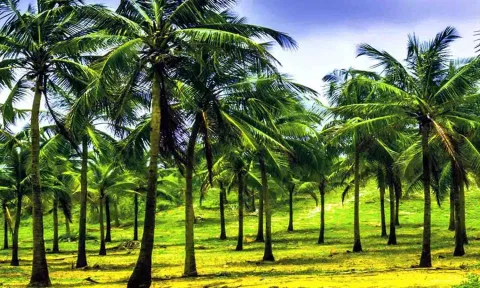 கோப்புபடம்.