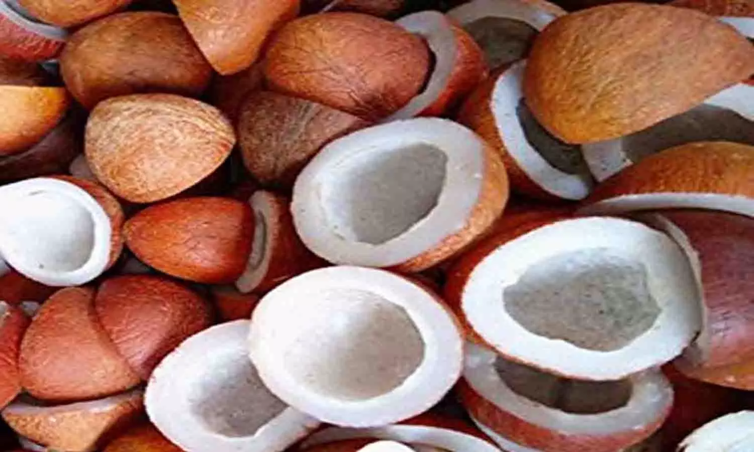 கோப்புபடம்.