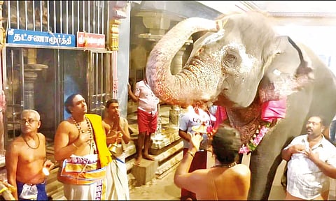 கணபதி பூஜை நடந்த போது எடுத்த படம்.