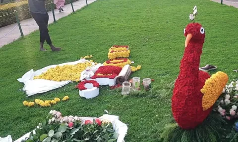 ஊட்டியில் இன்று தொடங்கியது- ரோஜா கண்காட்சியை காண குவிந்த சுற்றுலா பயணிகள்
