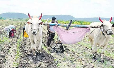 ஆந்திராவில் ஏர் கலப்பையில் குழந்தைக்கு தொட்டில்கட்டி உழவு பணி