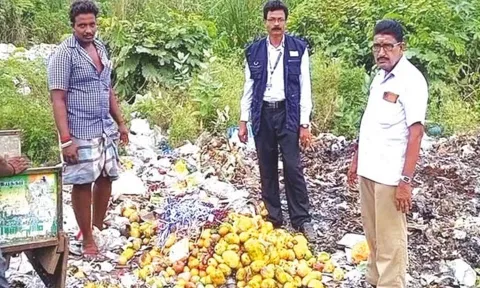 அறந்தாங்கி பகுதியில் ரசாயனம் பயன்படுத்தி பழுக்க வைத்த 250 கிலோ மாம்பழங்கள் பறிமுதல்