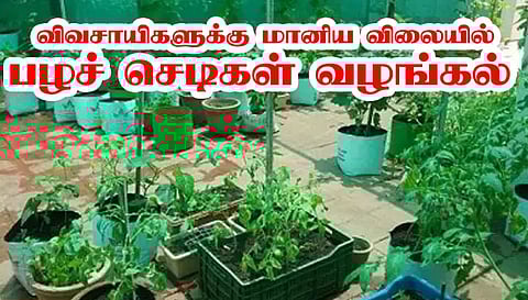 மானிய விலையில் பழக்கன்றுகள், மலர் செடிகள் வழங்கல்