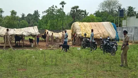 சம்பவ இடத்தில் மோப்பநாய் உதவியுடன் போலீசார் சோதனை நடத்திய காட்சி.