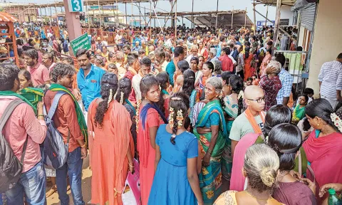 பழனி மலைக்கோவிலில் ஏராளமான பக்தர்கள் சாமி தரிசனத்துக்காக காத்திருந்தனர்.