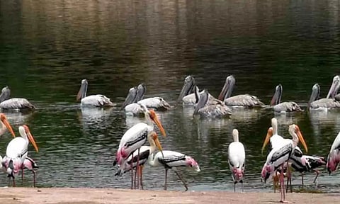 கோப்புபடம்.