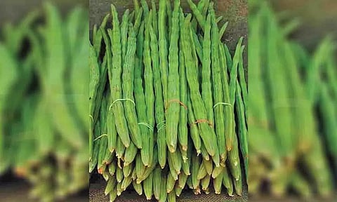 கோப்புபடம்.