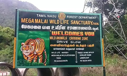 ஸ்ரீவில்லிபுத்தூர்-மேகமலை புலிகள் காப்பகத்தில் தென்மாநில அளவிலான யானைகள் கணக்கெடுப்பு பணி