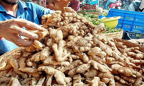 வரத்து குறைந்ததால் இஞ்சி கிலோ ரூ.240-க்கு விற்பனை