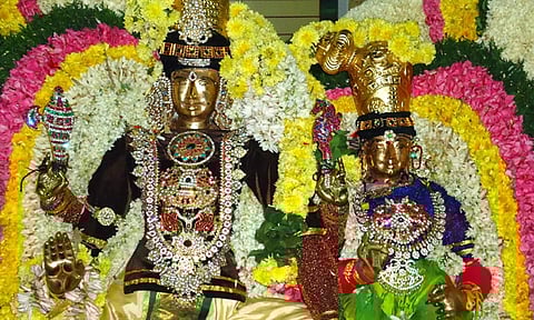 சிவன் பாதி... விஷ்ணு பாதி... சங்கரன்கோவில்  சிறப்புகள்