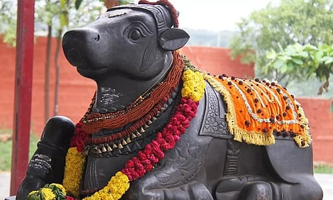 பஞ்ச நந்திகள்