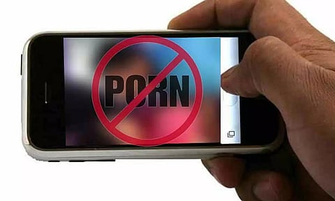 பாலியல் தொழிலுக்கு வலைவிரிக்கும் இணையதளங்களை முடக்க நடவடிக்கை- விபசார தடுப்பு பிரிவு போலீசார் அதிரடி