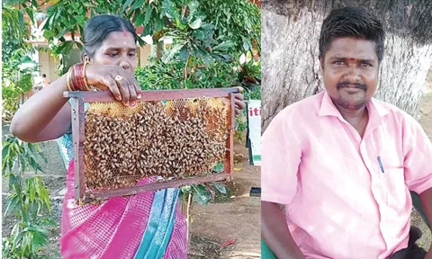 தேனீ வளர்ப்பில் ஈடுபட்டுள்ள விவசாய தம்பதி.