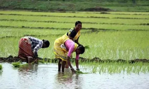 காஞ்சிபுரத்தில் 26ம் தேதி விவசாயிகள் நலன் காக்கும் நாள் கூட்டம்