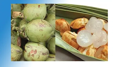 நுங்கு விற்பனை ஜோர்