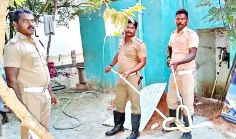 குடியிருப்பு பகுதியில் புகுந்த ஐந்து அடி நீளபாம்பு