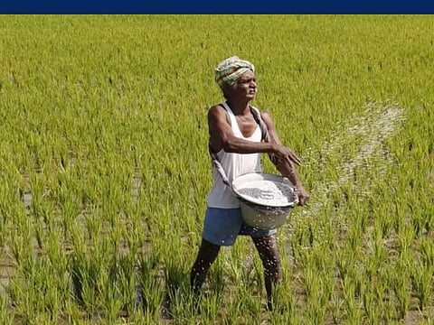 கோப்புபடம்.&nbsp;