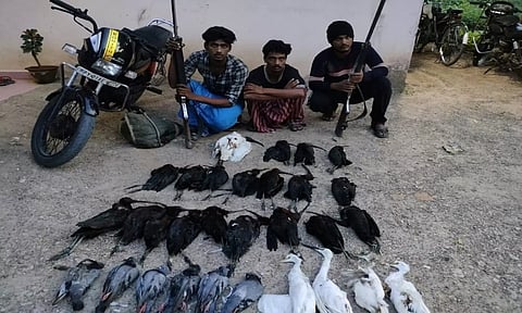 பறவைகளை வேட்டையாடிய வாலிபர்களை படத்தில் காணலாம்.