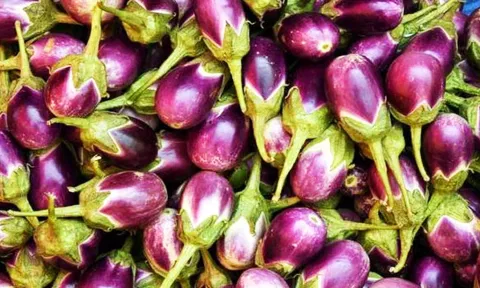 வேலூரில் வரத்துக்குறைவால் கத்தரிக்காய் விலை உயர்வு