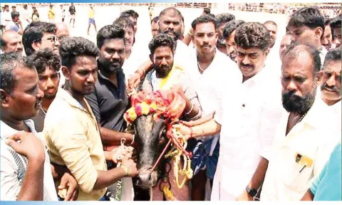 சமத்துவ எருதுகட்டு விழா