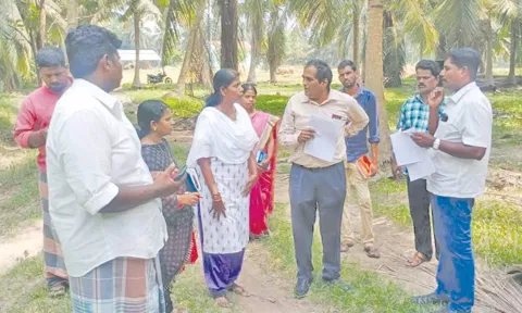 கொப்பரை தேங்காய் கொள்முதல் குறித்து வேளாண்மை இணை இயக்குனர் (வணிகம்) முரளிதரன்  விவசாயிகளிடம் கேட்டறிந்தார்.
